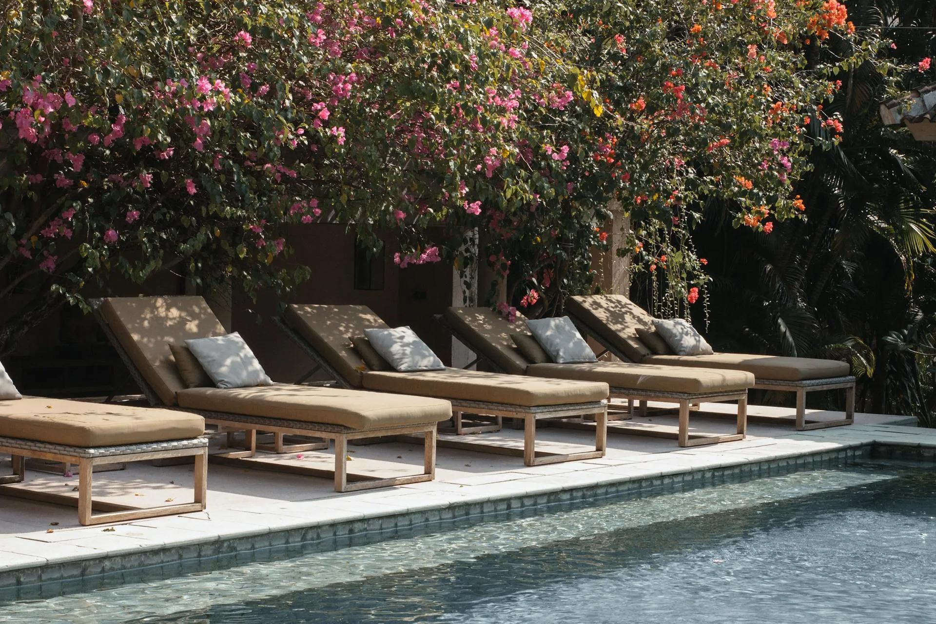 Premium poolside lounger setup